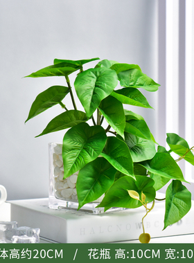 仿真绿萝龟背竹小盆栽绿植办公室植物摆件客厅发财树盆景桌面摆饰