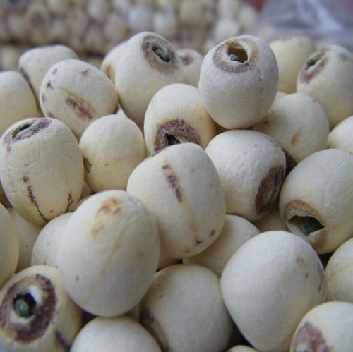 新货湖南特产湘莲子 农家自种带芯白莲  莲子干货500g包邮 - 图0