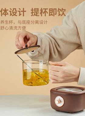 金灶全玻璃迷你养生壶家用多功能
