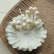 日本野葡萄 新人首单立减十元 21年7月 淘宝海外