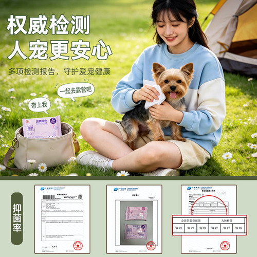 爱丽思猫咪湿巾擦泪痕狗狗擦脚擦屁股湿纸巾免洗宠物清洁杀菌专用 - 图0