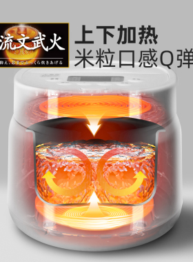 爱丽思上下对流加热精致电饭煲