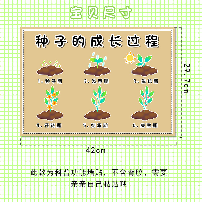 幼儿园植物的秘密发芽成长过程自然植物角环创主题墙布置装饰墙贴