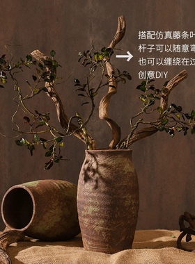 过江龙藤摆件软装饰干花干枝枯木树枝树藤干枯造型藤条插花干树枝