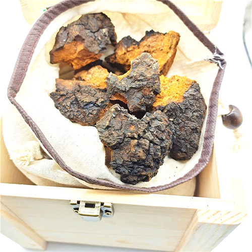 桦树茸俄罗斯原料正品野生切块一斤礼盒装白桦茸高密度桦褐孔菌 - 图1