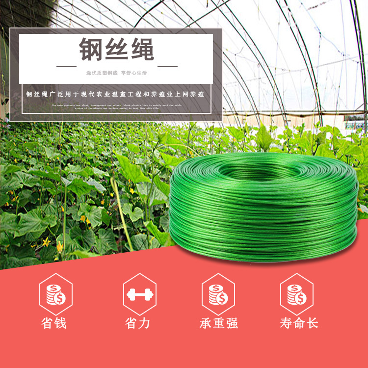 包邮优质绿钢丝绳包塑葡萄架晾衣绳图片_2