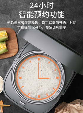 家用电饭锅龙的多功能快煮4L