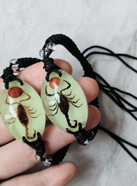 昆虫琥珀标本手链韩版男女士手绳蝎子蚂蚁夜光饰品背面可定制刻字