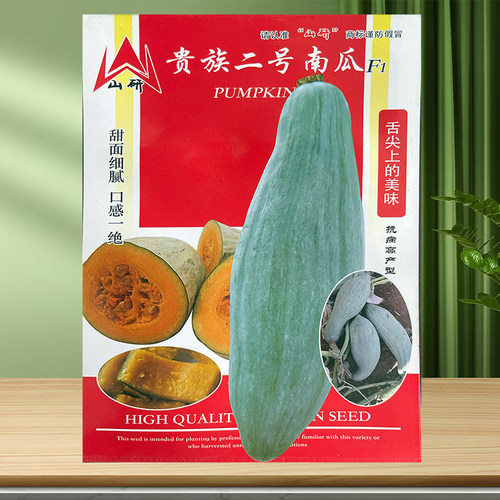 牛腿南瓜种籽新疆贵族南瓜种子板栗金丝栗瓜丑瓜春秋冬季四季阳台 - 图0