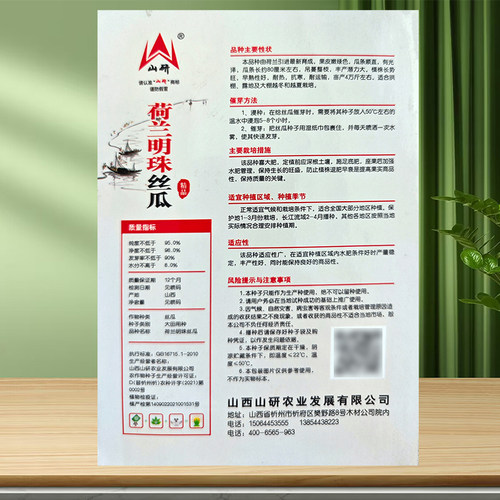 荷兰明珠绿长丝瓜种子耐热抗寒寿光蔬菜种籽春秋冬四季播阳台种孑 - 图0