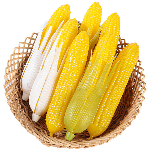 高仿真玉米带皮玉米塑料塑胶假玉米模型摄影视橱窗摆设早教道玩具 - 图3