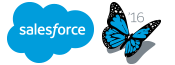 The Salesforce implemented the development of the