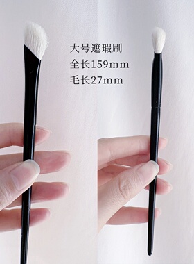 沧州化妆刷魅卡秀同款羊毛细光峰