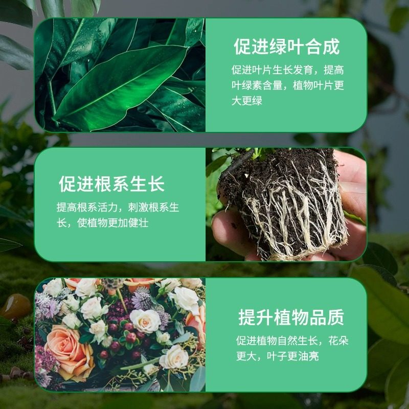 虹越花丁有机肥料老牌八福仙日本商超同款花卉绿植园艺骨粉营养液,淘宝优惠券,粉丝福利购,淘宝优惠卷