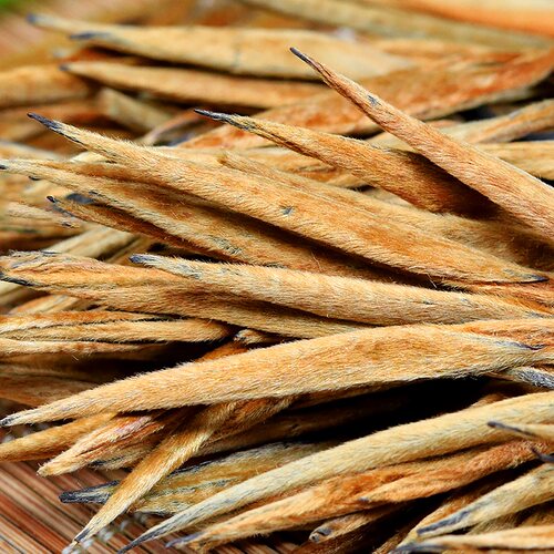 滇红金针2026新茶古树红茶特级云南大金针金芽浓香型茶叶250g - 图0