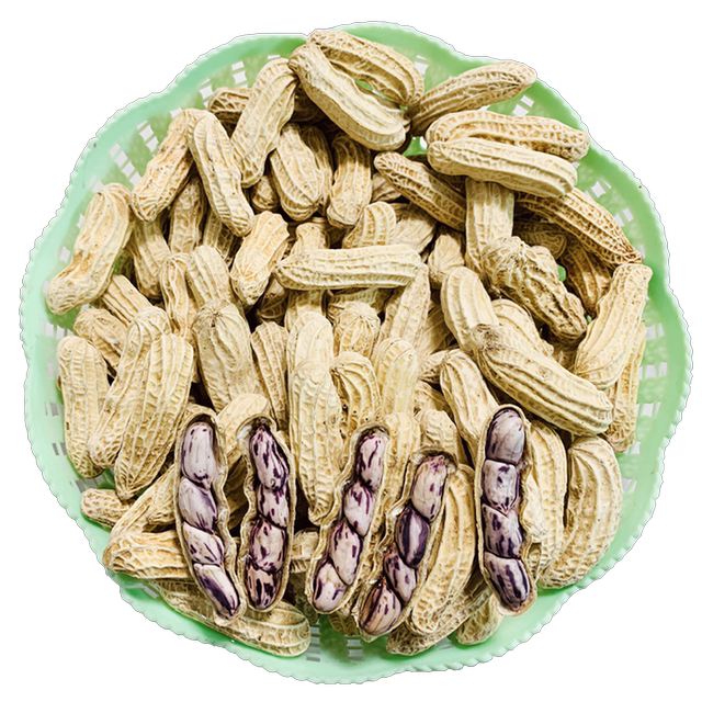 Yunnan Colorful Salted Dried Original Sweet Shelled Peanuts