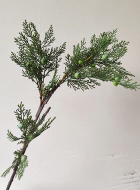 侧柏枝仿真柏树枝松枝崖柏枝龙柏枝插花盆景假叶子松树枝雪杉松