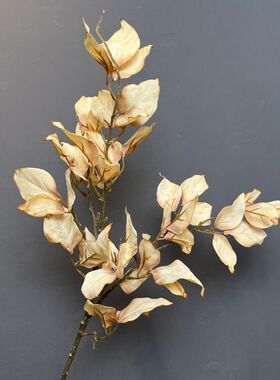 秋色枯树叶桉树枝仿真礼花叶造景摄影道具插花素材餐桌花装饰摆件