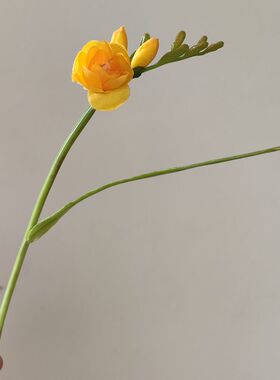 靓娟花手捧中国插花枝绿娟1