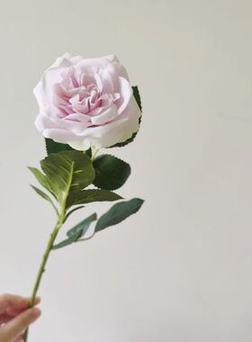 仿真花束高级感保湿玫瑰奥斯汀朱丽叶餐桌装饰摄影道具婚庆假花