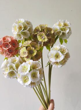 仿真花蓝盆花种子风车果假花 森系婚庆花艺装饰花束插花车轮菊