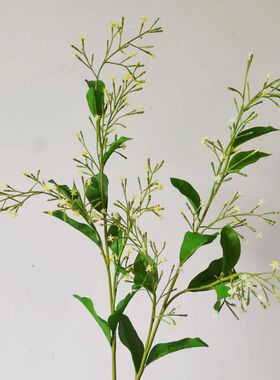 手感配材夜来香芦苇情人草仿真花枝条 婚庆家居装饰造景配材插花