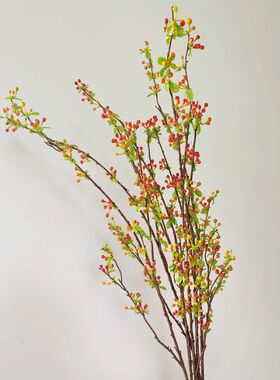 靓果实室内内地插花枝桔色手感1