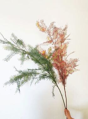 仿真文竹 仿真植物 蕨叶 单支中式样板间叶材 日式装置叶子蜈蚣草