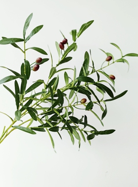 北欧橄榄枝仿真花束卧室插花摆件