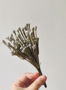 仿真多肉植物软胶仙人颗微景观diy多肉组合桌面绿植装饰盆栽花卉