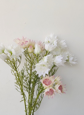 高质仿真花新娘花月下花艺师造景