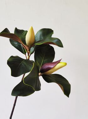 新款PU仿真白碗花苞叶玉兰花苞叶杆假花家居样板房插花装饰品摆件