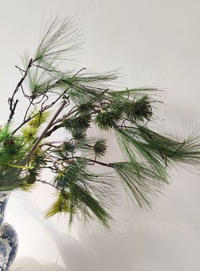 仿真松树枝带果假松枝景观松针黑松柏枝叶迎客松圣诞树 大马尾松