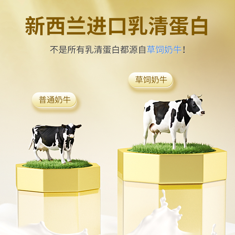  康恩贝乳清蛋白