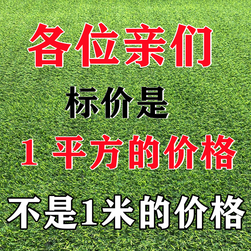 仿真草坪塑料假草皮幼儿园屋顶隔热防航拍露营围蔽挡户外人造草坪 - 图1