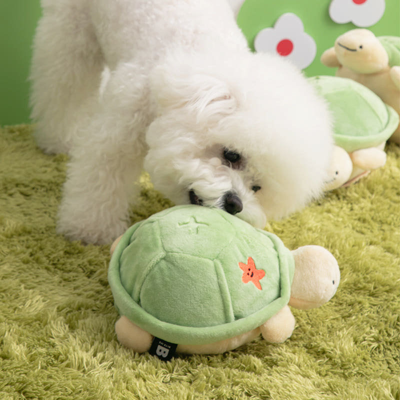 『Memory Pet』韩国代购biteme宠物趣味跳跳龟电动可调档藏食玩具,淘宝优惠券,粉丝福利购,淘宝优惠卷