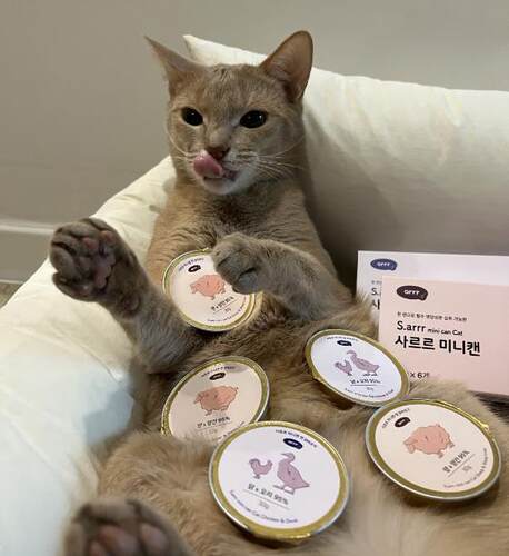 部分现货~韩国arrr宠物猫狗三文鱼金枪鱼鸡羊鸭肉湿粮罐头 - 图2