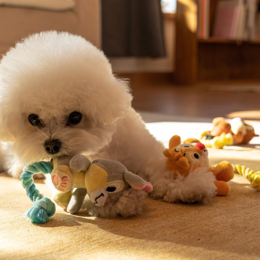 部分现货~韩国进口Dan迪士尼宠物米奇米妮唐老鸭维尼熊绳结玩具 - 图2