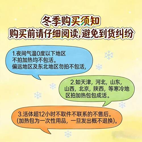 杜比亚蟑螂 爬宠昆虫活体饲料  绿色养殖场直销 - 图3