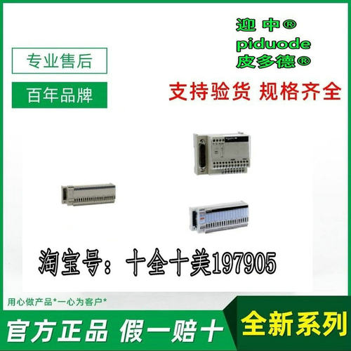 TM3BCEIP TM3BCSL TM3TI4G TM3TM3G TM3TI8TG TM3TI4D 模拟量模块 - 图1
