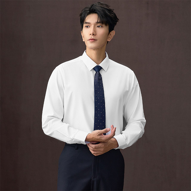 HaiLan Home Light Business Shirt and Commuter Job Search Shirt