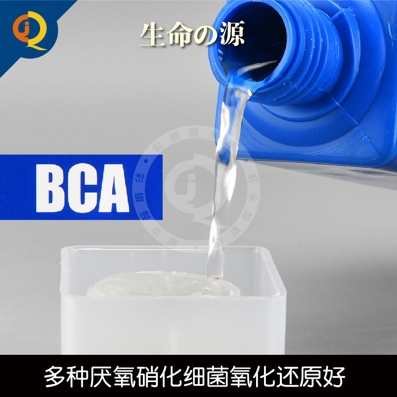 日本BCM/BCA硝化细菌生命之源好氧菌伴侣厌氧菌除NO3净水质红蓝瓶 - 图2