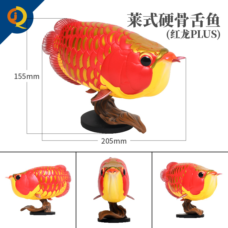 动物星球心宽体胖系列第12弹远古鱼系列01金龙鱼巨骨舌鱼手办模型 - 图2