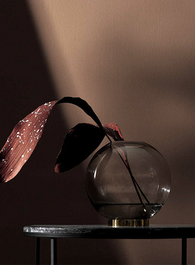 AYTM圆球花器玻璃小号桌面装饰