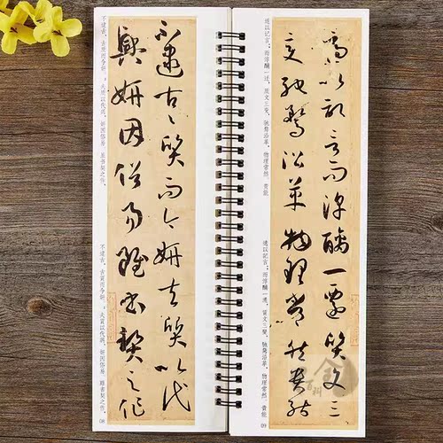两册正版 孙过庭书谱草书毛笔书法字帖经典碑帖临摹字卡原大版全文成人学生临摹原帖唐代墨迹本附简体旁注 - 图2