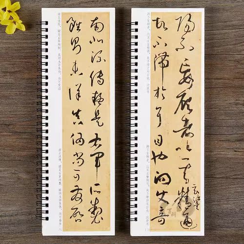 两册正版 孙过庭书谱草书毛笔书法字帖经典碑帖临摹字卡原大版全文成人学生临摹原帖唐代墨迹本附简体旁注 - 图3