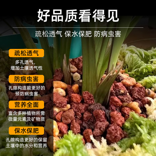 天然火山石颗粒养花专用多肉蝴蝶兰花营养土鱼缸底沙滤材铺面红岩 - 图3