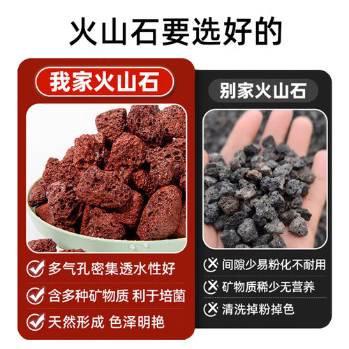 天然火山石颗粒养花专用多肉蝴蝶兰花营养土鱼缸底沙滤材铺面红岩 - 图0