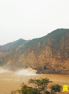 玄关客厅招财盆景摆件天然原石