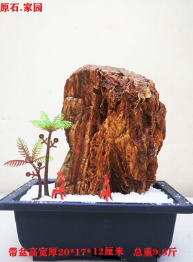 天然原石精品奇石千层鸡骨像形石